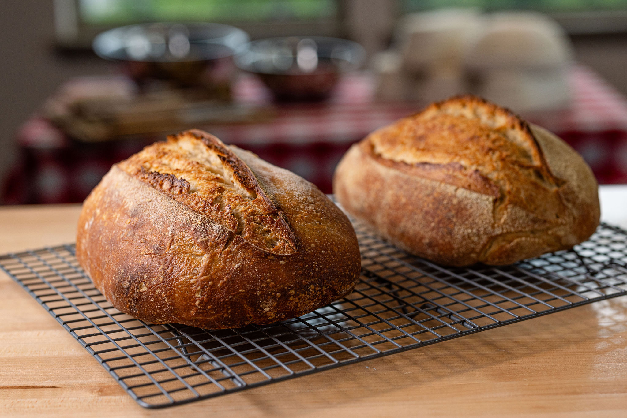 Organic Sourdough Bread